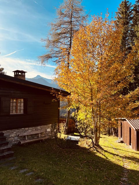 Schönes Chalet in Adelboden House in Adelboden