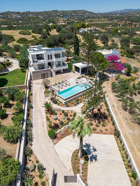 Bird's eye view, Garden