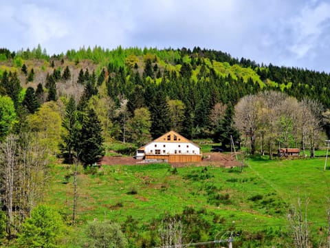 Property building, Spring, Natural landscape, Mountain view