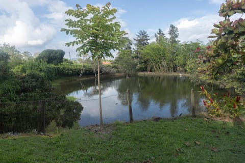 Garden, Lake view