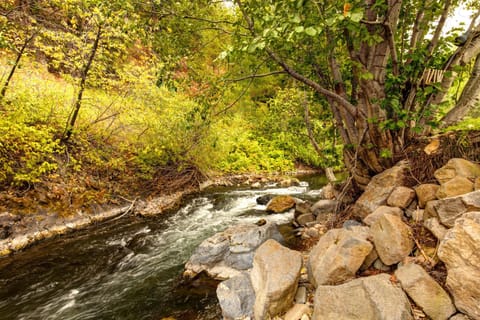 Elegant Three Suite Condo Steps to Warm Springs Lodge House in Ketchum