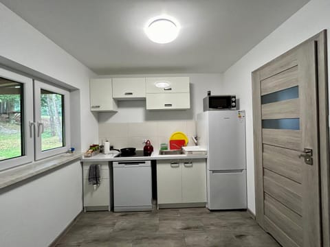 Kitchen or kitchenette, oven, stove