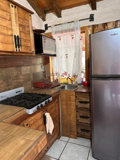 Kitchen or kitchenette, dishwasher, minibar, oven