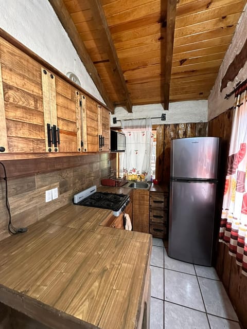 Kitchen or kitchenette, oven