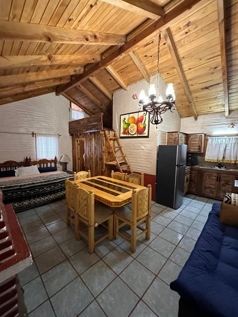 Kitchen or kitchenette, Photo of the whole room, Dining area