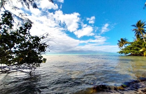 Natural landscape, Beach