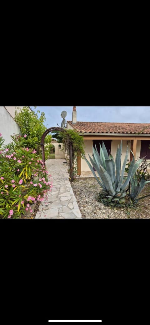 Property building, Garden view