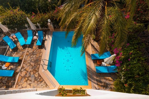 Day, Garden view, Pool view, Swimming pool, sunbed