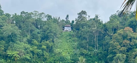 Property building, Day, Natural landscape, Landmark view