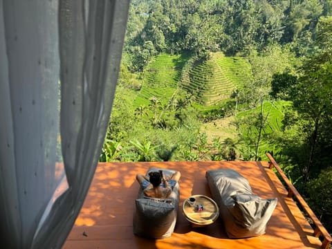 Natural landscape, Balcony/Terrace, On site, River view