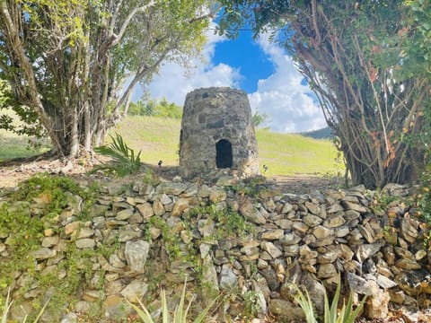 Bougainvilla Making Memories in Paradise awaits you Casa in Christiansted