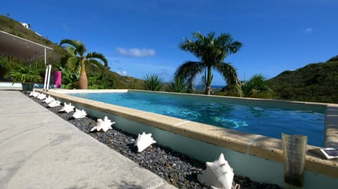 Paradise Solitude Gated private home with pool and ocean views House in St. Croix