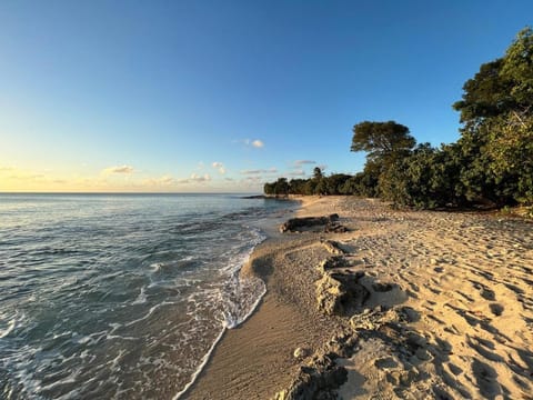 Step into serenity at Prosperity by the Sea House in Frederiksted