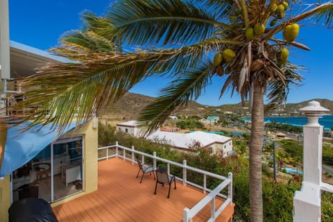 Welcome to Villa Sunrise 3 bedrooms 3 Baths Private Pool Located on the East End of St. Croix Villa in St. Croix