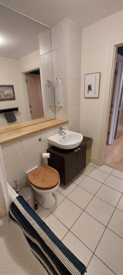 Spacious Riverside 1Bd in Bustling Village Apartment in Dublin