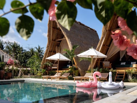 Pool view, Swimming pool