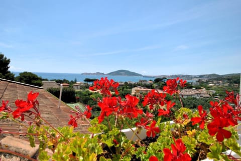 Patio, Sea view