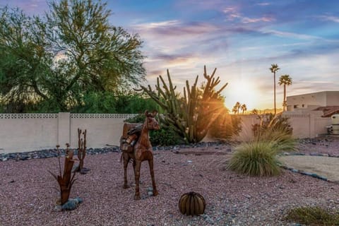 Sunrise Oasis your Western Oasis in the Desert House in Fountain Hills