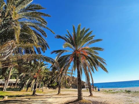 Villajoyosa Sol y Mar Apartment in Villajoyosa