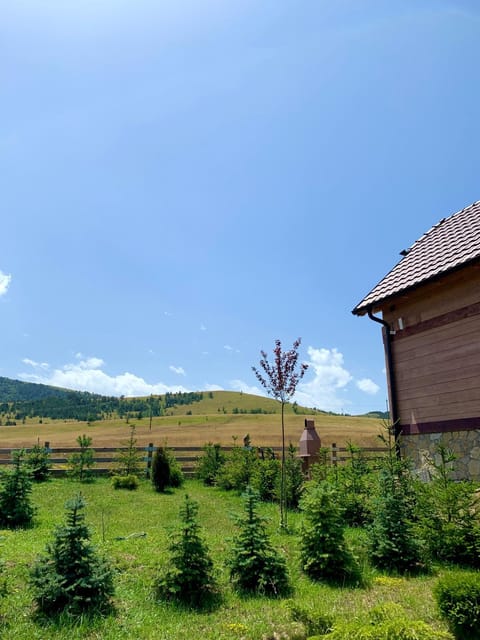 Starry Sky Zlatibor House in Zlatibor