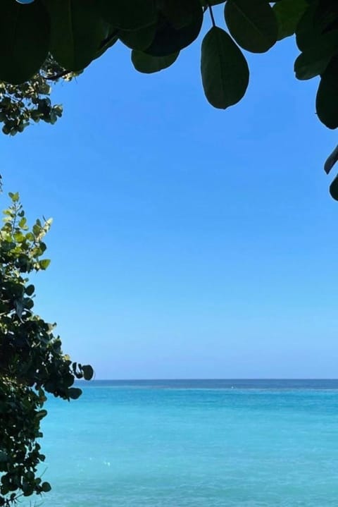 Natural landscape, Beach, Sea view