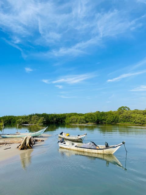 Day, Natural landscape, Activities, Beach, Sea view