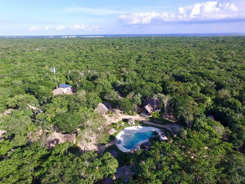 Neighbourhood, Natural landscape, Bird's eye view