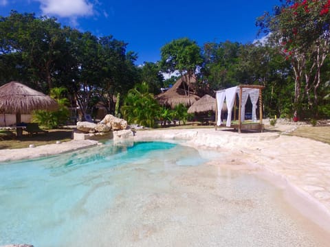 Pool view, Swimming pool