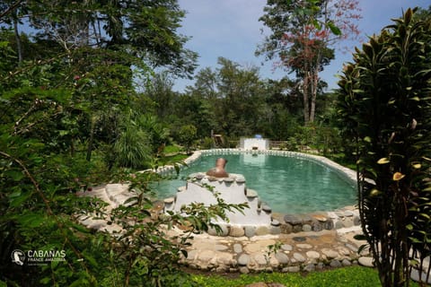 Day, Natural landscape, Garden, Garden view, Pool view, Swimming pool