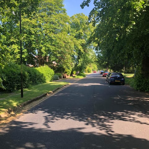 Day, Neighbourhood, Natural landscape