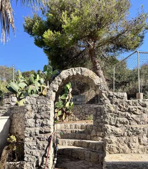 Garden, Garden view