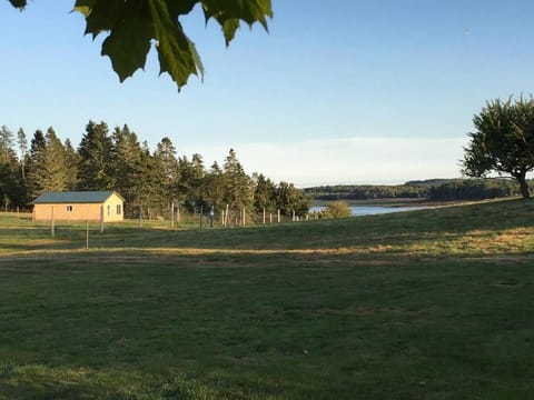 Ebb Tide Cottage Casa in Eastport