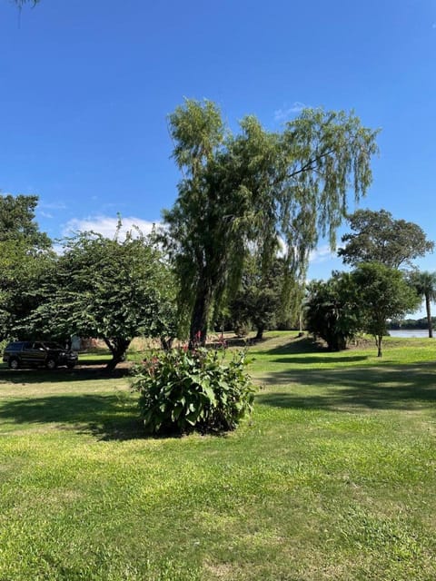 Natural landscape, Garden, River view