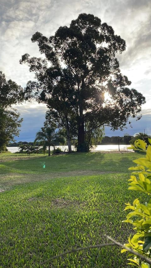 Natural landscape, Garden, Garden view, Lake view