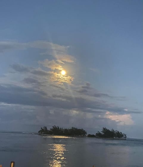 Natural landscape, Sea view