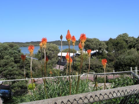 Lakeside Tourist Park Camping /
Complejo de autocaravanas in Robe