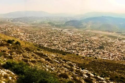 Nearby landmark, Bird's eye view