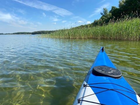 Lake view