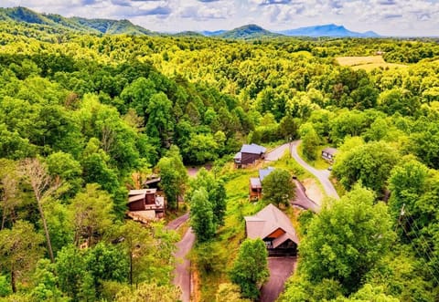 Modern Cabin with King Beds, Fire pit, Hot tub & 5 miles to Dollwd Apartment in Sevierville