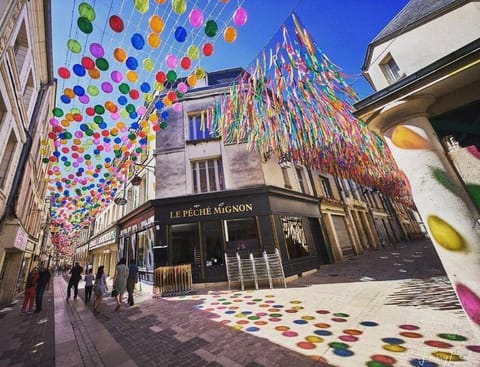 La Châtelaine Apartment in Laon