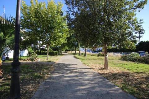 Natural landscape, Garden, Street view