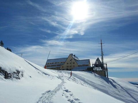 Facade/entrance, Facade/entrance, Bird's eye view, Winter, Ski School, Skiing