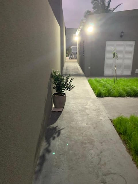 Night, Garden, Garden view