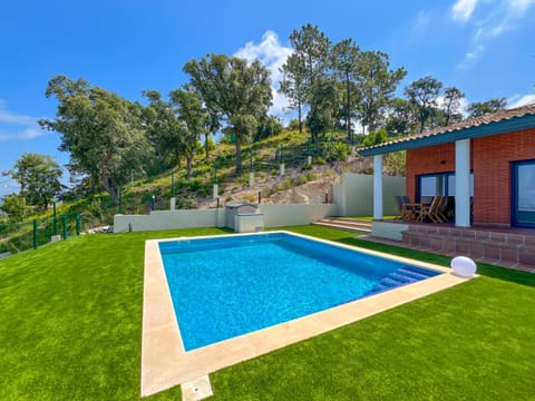 Patio, Garden, Garden view