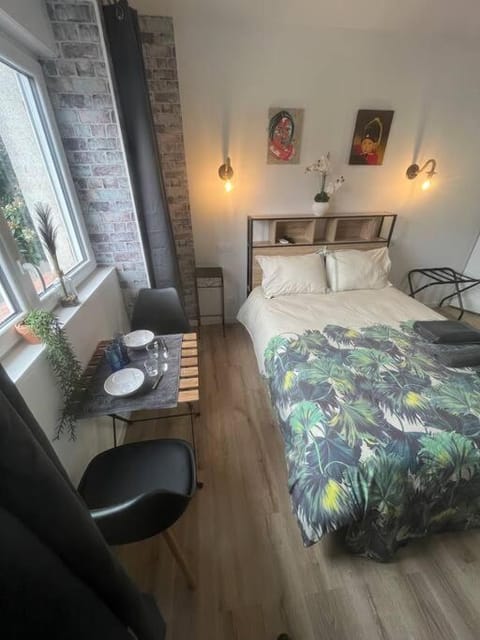 BACH studio BALNEO au calme parking gratuit Apartment in Givors