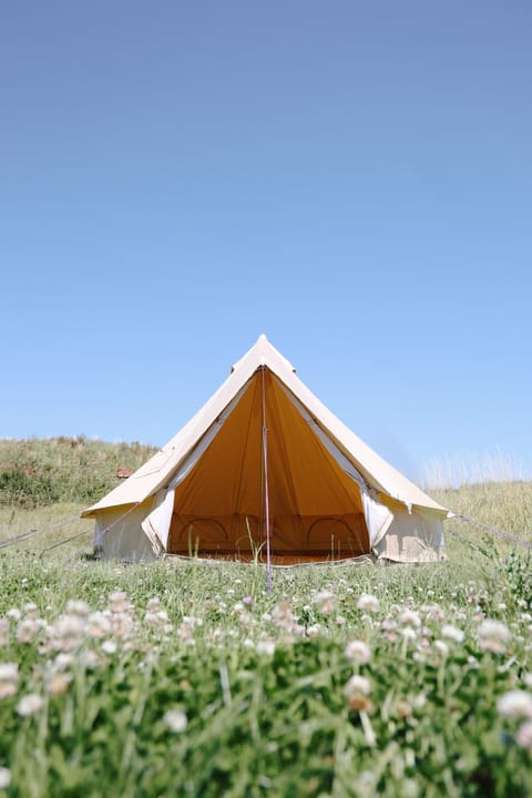 The Camp at The Wave Campground/ 
RV Resort in Bristol