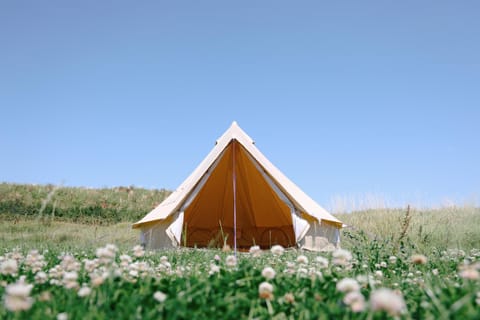 The Camp at The Wave Campground/ 
RV Resort in Bristol