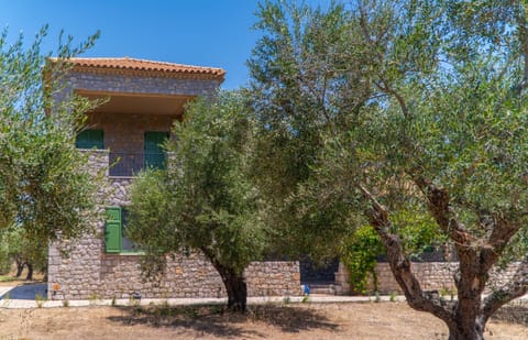 Property building, Garden, Garden view