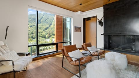 New luxury ski in ski out 4 bedroom at One At Spruce Peak House in Stowe