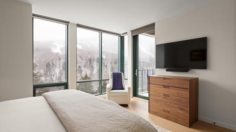 New Spruce Peak Tree House Unit Steps To The Lifts With Big Mountain Views Sleeps 9 Apartment in Stowe